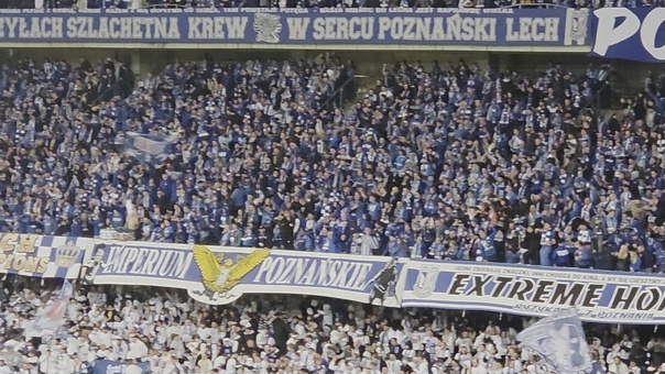 Szaleństwo w Poznaniu. Zobacz, co działo się po golu dla Lecha